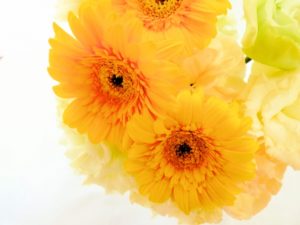 ９周年を迎えました。　　…そして、３０周年(笑)